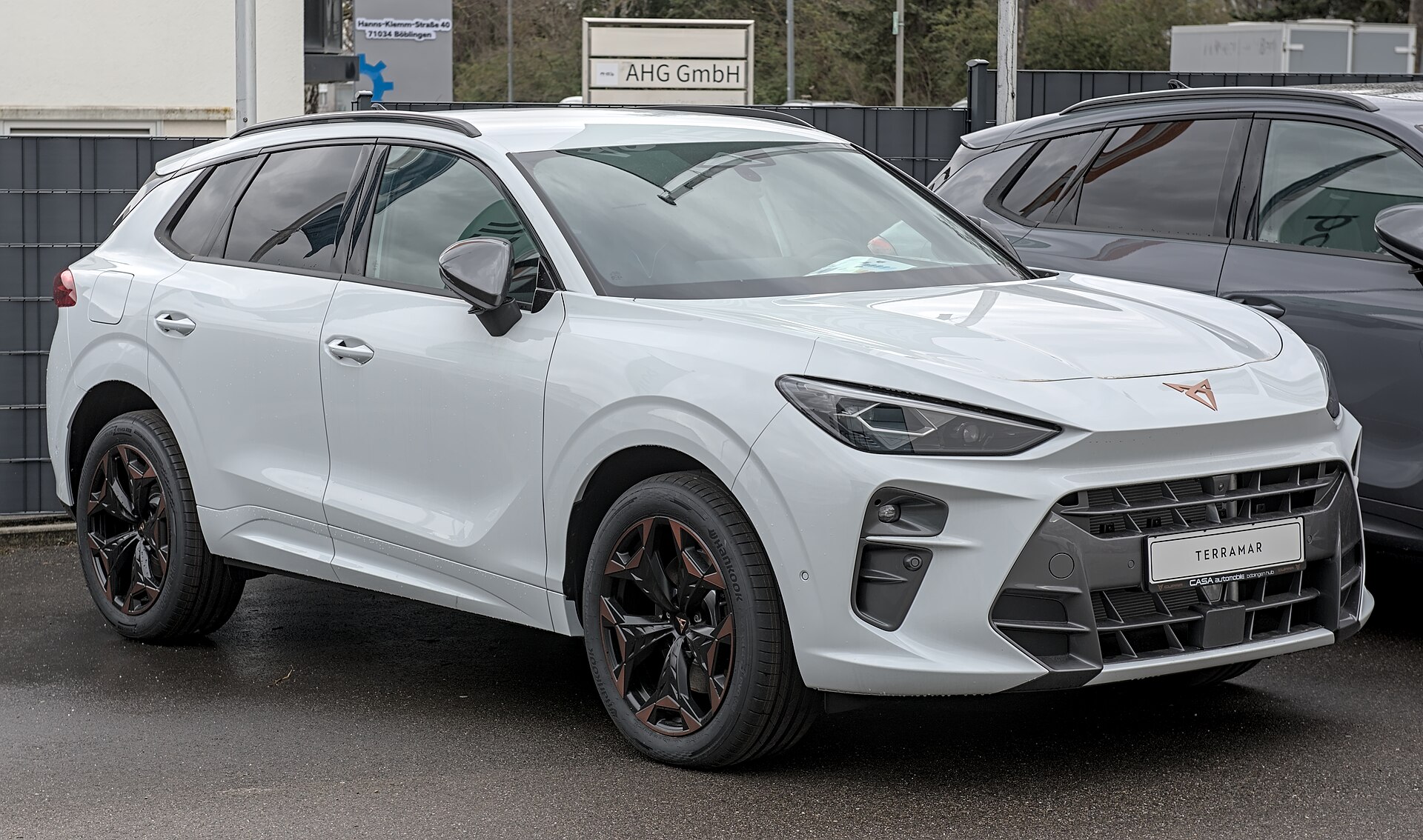Guide d'achat Cupra Terramar